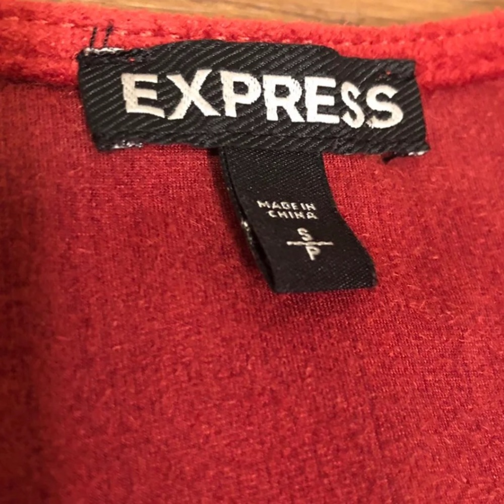 Express Suede Fringe Dress - Picture 2 of 3